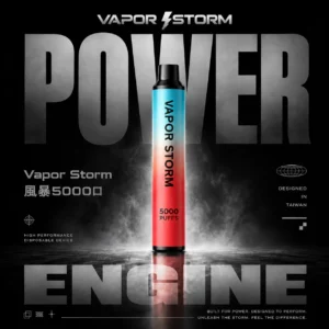 ChatGPT-Image-2026年6月18日-上午02_51_17.webp Vapor Storm 風暴5000口拋棄式電子煙|10ml油倉 650mAh電池 Mesh霧化技術 台灣現貨