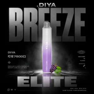DIYA 叮啞7500拋棄式電子煙｜10ml油倉 500mAh電池 Type-C快充 水果冰口感 台灣現貨